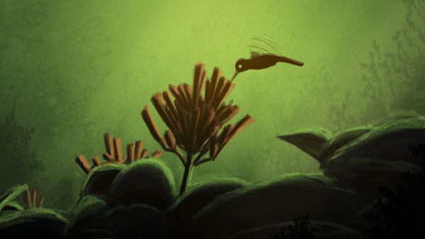 desktop_small_fwah_LaLegendeDuColibri_16-9_01_MAIN-STILL_IMAGE-PROMO-PRINCIPALE