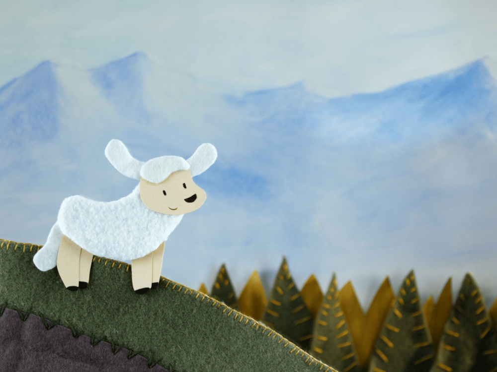1 Coton tout petit mouton ©Amandine Tondino